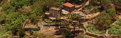 La Parfumée